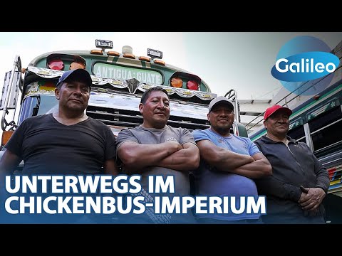 Die Könige der Straße: Wer steckt hinter der Chickenbus-Familie in Guatemala?