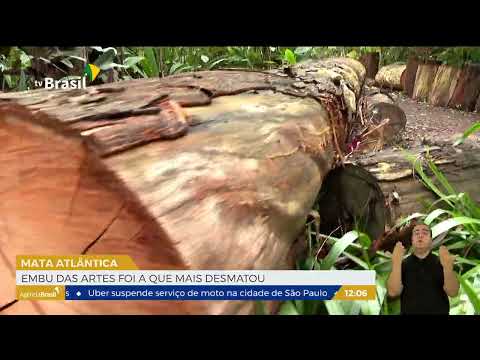 SP | Embu das Artes foi a que mais desmatou a Mata Atlântica