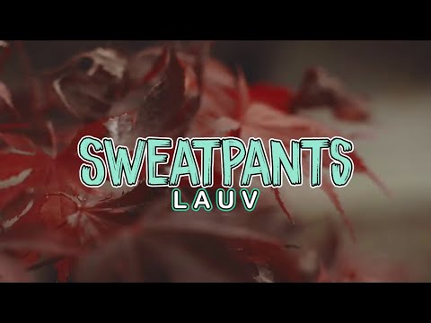 Lauv - Sweatpants (Lyrics)