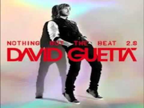 David Guetta   Play Hard  feat  Ne Yo   Akon    Clean