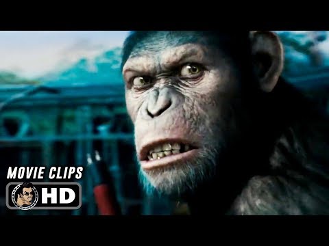 RISE OF THE PLANET OF THE APES Clips + Trailer (2011) James Franco Andy Serkis - UC6LDwTYRfjQwkakw5R95OyA