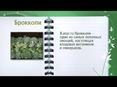 Кулинарная энциклопедия - Брокколи - UC7XBjhXnmmXFsxmnys9PmDQ