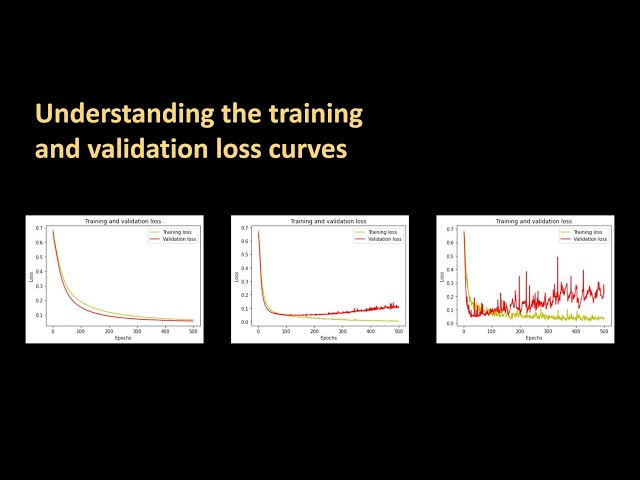 What the Loss Curve Tells Us About Machine Learning