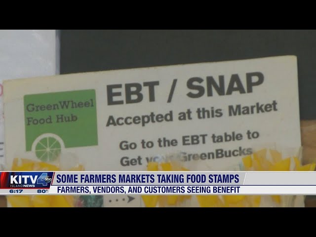 What Is The Income Limit For Food Stamps In Hawaii?