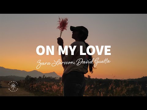 Zara Larsson, David Guetta - On My Love (Lyrics)