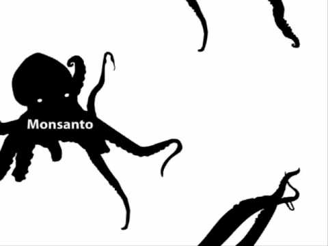 Ośmiornica Monsanto w Polsce