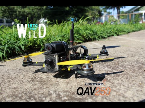 Into The Wild - QAV250 - FPV - UCRNxqk7A7fhmlLLCXEWpe6w