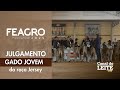 Feagro 2025 - Julgamento do Gado Jovem da Raça Jersey