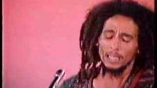 Bob Marley & the Wailers - Roots Rock Reggae