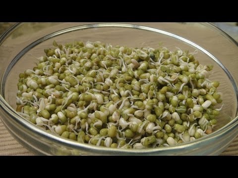 How to make Sprouts - UCmoX4QULJ9MB00xW4coMiOw