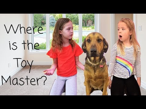 The Toy Master is in our House! - UC8MR0wSTbzs5Yo7DgP04P-w