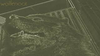 Cosi - Wolfenoot [Full Album]