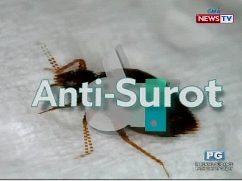 Good News: Huling Hirit ng Surot! - UCj5RwDivLksanrNvkW0FB4w