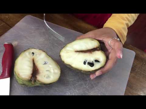 How To Eat A Cherimoya Chirimoya Chirimuya (Tropical Fruit) - UCoq4cyttGVBzqB5oDtSQsBA