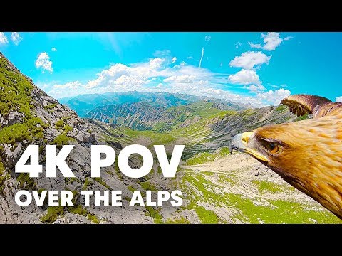 Through an Eagle's Eyes: Breathtaking 4K POV over the Alps - UCblfuW_4rakIf2h6aqANefA