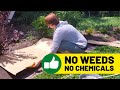 Remove Grass & Weeds in Garden Beds Naturally with Sheet Mulching (Won't Come Back!)