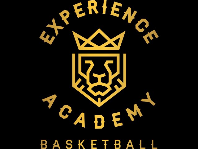The Experience Academy Basketball Program