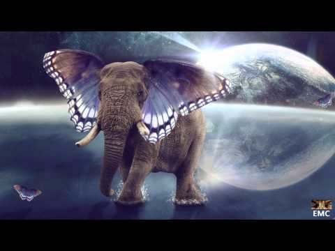 Marcus Warner (C21FX) - If Elephants Could Fly ("Liberation" Album Preview) - UCZMG7O604mXF1Ahqs-sABJA