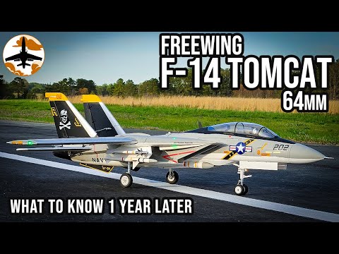 It&#39;s Not Bad, but You... Might Be - Freewing F-14 64mm 1 Year Review - UCXwHvVwZ58ZDx8qyV5sbqow