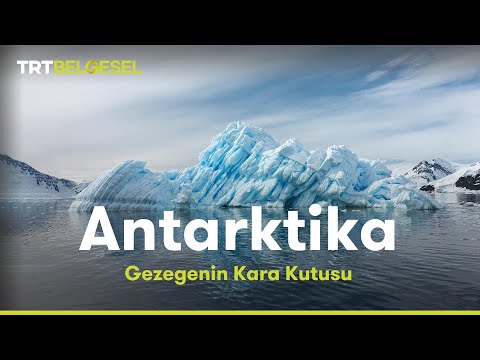 Gezegenin Kara Kutusu: Antarktika