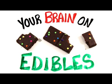 Your Brain On Edible Marijuana - UCC552Sd-3nyi_tk2BudLUzA