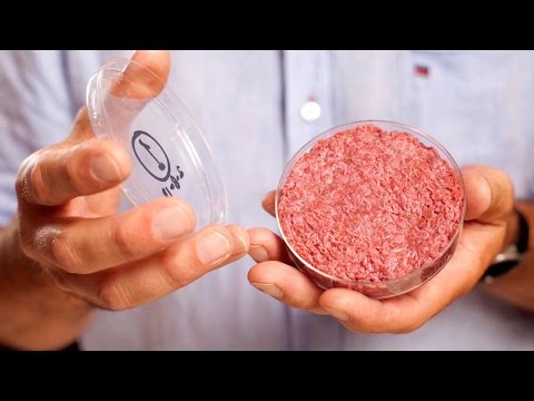 Lab-Grown Burgers Just Got A LOT Cheaper! - UCnf7ZZpBsuTxnQgy1TKbTIw