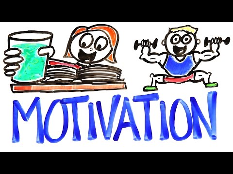 The Science Of Motivation - UCC552Sd-3nyi_tk2BudLUzA