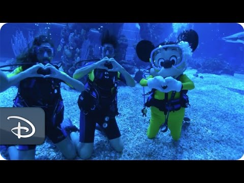 First Dive | Epcot DiveQuest | Walt Disney World - UC1xwwLwm6WSMbUn_Tp597hQ