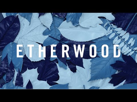 Etherwood - For A Time I Was You - UCNyo1qwT4ZKuoWsyrrdoc6g