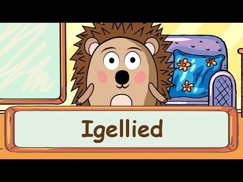 🌼 Igellied - Fingerspiellieder zum Mitsingen || Kinderlieder