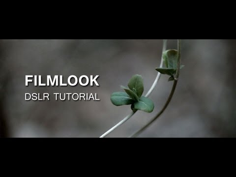 DSLR Tutorial: How to get the Filmlook & what you're doing wrong! - UCTU-AvSQopinNy7frk8GtJA