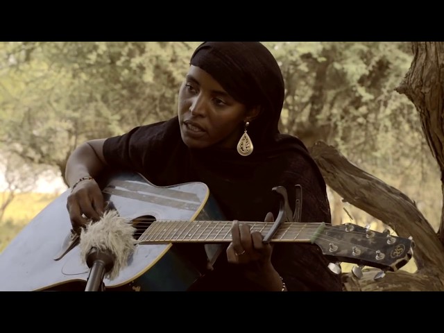 Malian Folk Music- The Sound of the Sahel