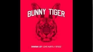 Sharam Jey - Love Hurts! -  BT002