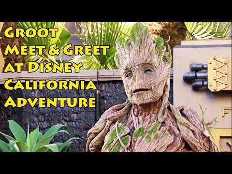 Full Size Groot Character Meet & Greet at Disneyland Summer of Heroes, Guardians of the Galaxy - UCe-gHr2O_LP7t0YJYHZQZlg