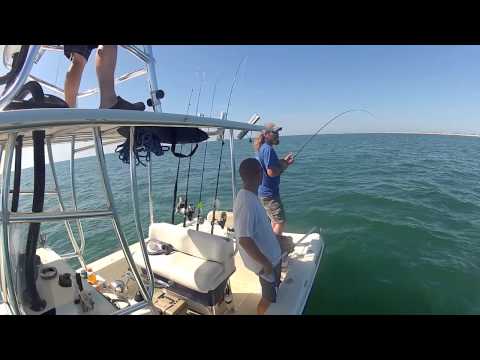Cobia Fishing in the Outer Banks, NC