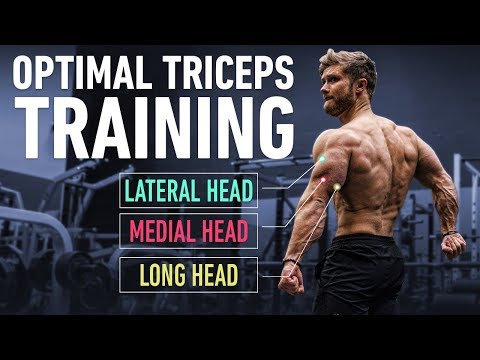 How To Build Huge Triceps with Optimal Training Technique - UC68TLK0mAEzUyHx5x5k-S1Q