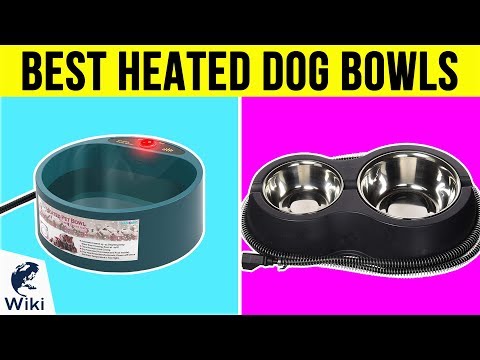 8 Best Heated Dog Bowls 2018 - UCXAHpX2xDhmjqtA-ANgsGmw