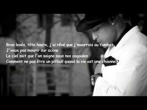 BOOBA - Pitbull (lyrics)