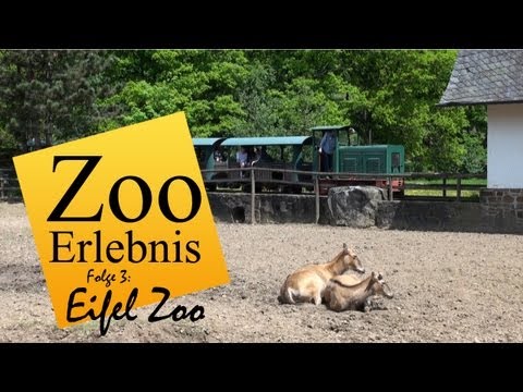 Eifel Zoo - Zoo Erlebnis #3 - UCMbOFR8BSlg4Tuvh8090chQ