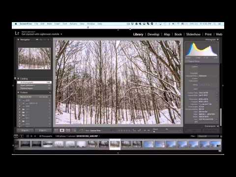 السوق الرمادية لبيع الكاميرات Grey market معلومات مهمه للجميع