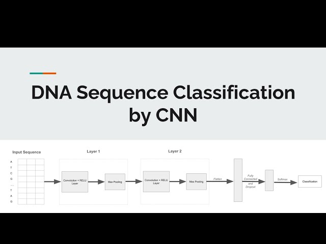 Deep Learning Architectures for DNA Sequence Classification