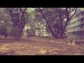 MV เพลง เหงา - Harmonica Sunrise