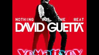 David Guetta feat. Will.I.Am - Nothing Really Matters (In a club)