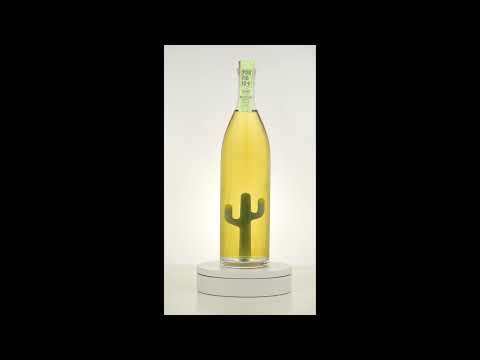 Porfidio Cactus Bottle (The Suave)