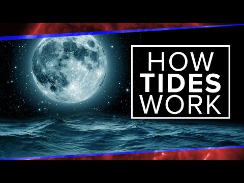What Physics Teachers Get Wrong About Tides! | Space Time | PBS Digital Studios - UC7_gcs09iThXybpVgjHZ_7g