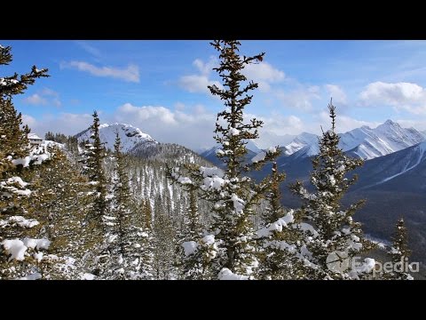 Banff Gondola Vacation Travel Guide | Expedia - UCGaOvAFinZ7BCN_FDmw74fQ