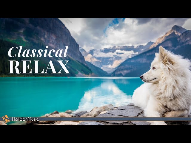 Classic Instrumental Music for Relaxation and Mindfulness
