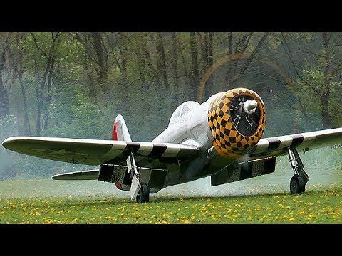 Rc P-47 Thunderbolt *Maiden* Moki 180cc - UC1QF2Z_FyZTRpr9GSWRoxrA