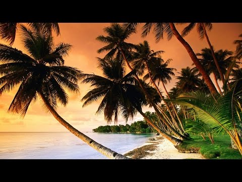 RELAXING Tropical Music & Caribbean Music & Hawaiian Music - Island Paradise  - UCjMZjGhrFq_4llVS_x2XJ_w