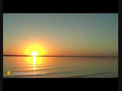 Brand New Sin - See The Sun